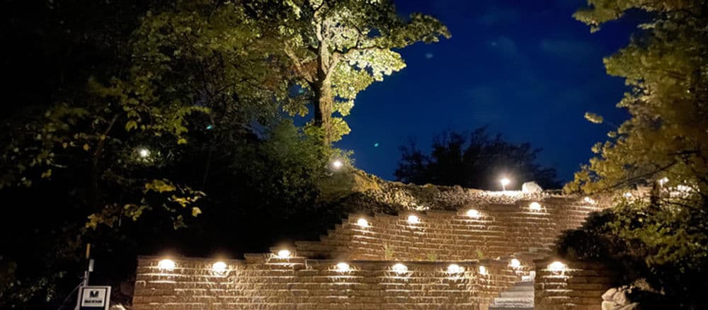 Illuminated stone steps in a nighttime garden with trees and landscape lighting.