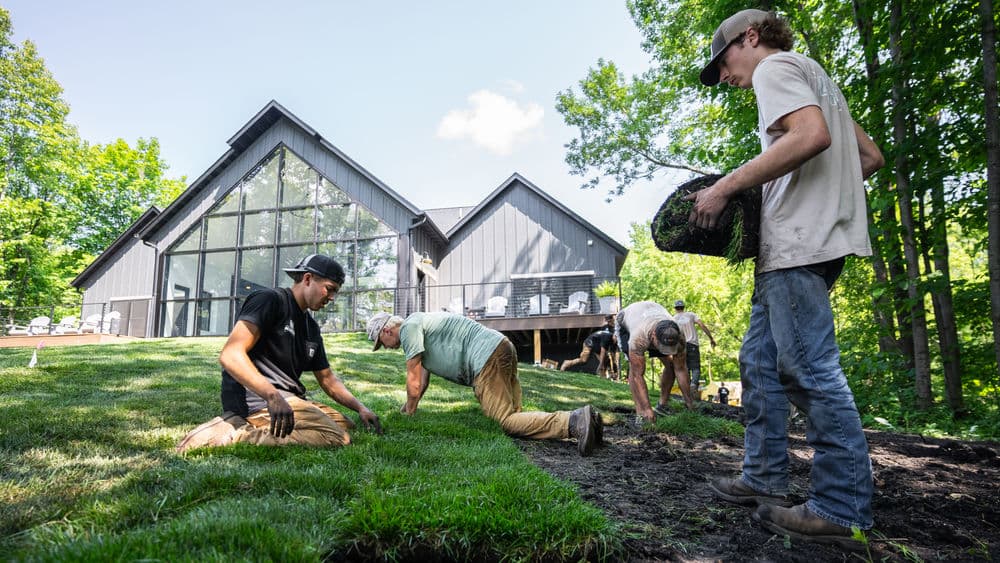 Landscape workers installing sod in front of a modern house surrounded by greenery.
