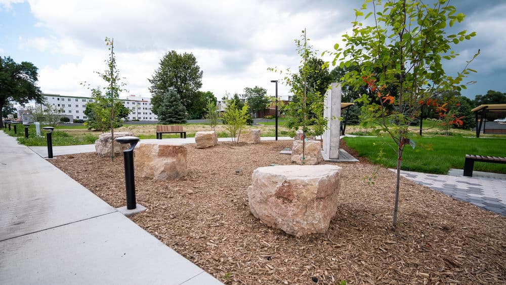 Landscape park area with rocks, young trees, and benches under a cloudy sky.