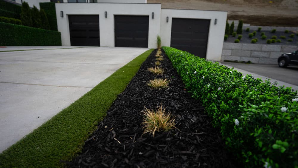 Modern driveway with hedges, black mulch, and ornamental grass lining the pavement.